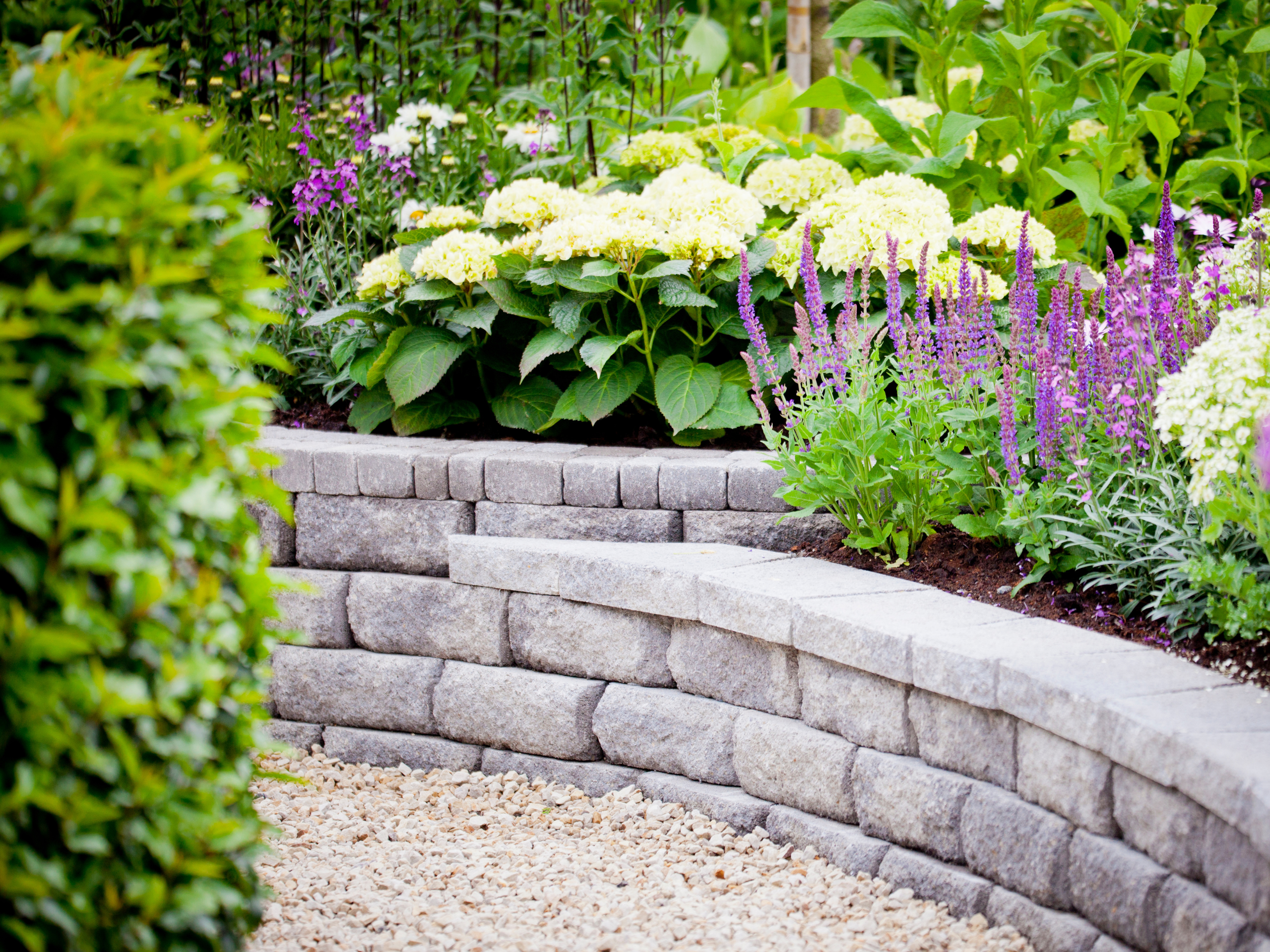 Garden retaining wall in grey with pops of purple lavender and white hydrangeas, adding vibrant color and texture to the landscape.