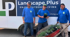 Untitled design (62)